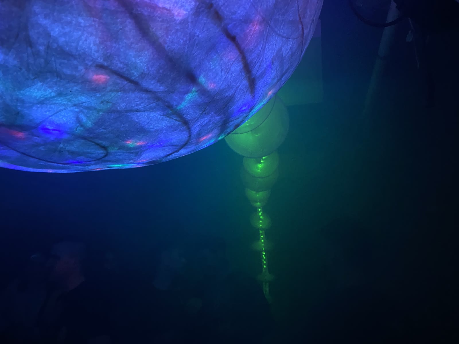 Light Monster installation glowing blue and green inside The Peer Hat