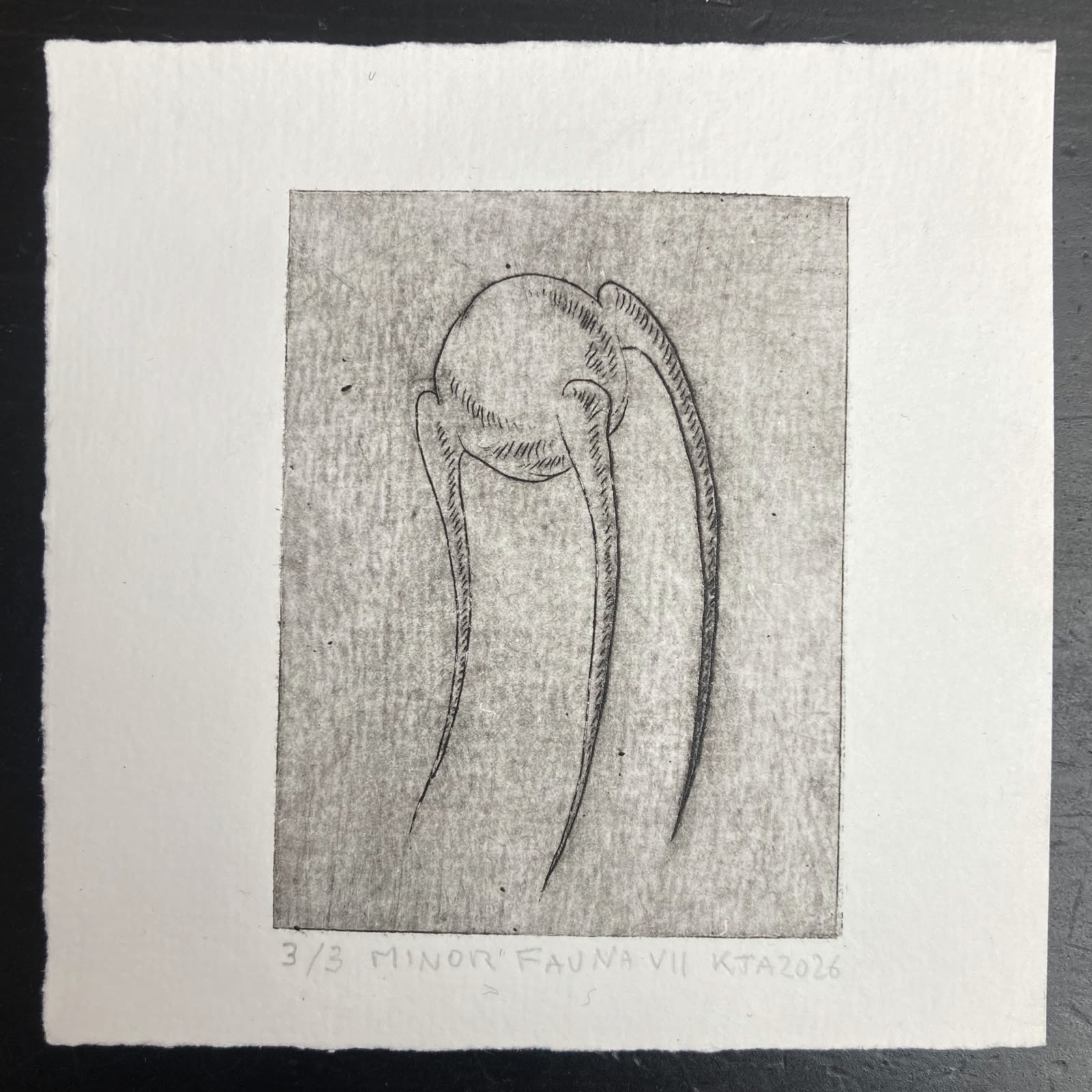 Minor Fauna VII, a monochrome creature-like drawing